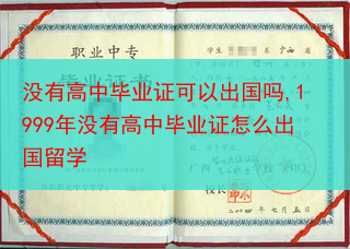 没有高中毕业证可以出国吗,1999年没有高中毕业证怎么出国留学