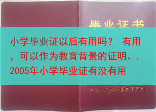 小学毕业证以后有用吗？ 有用，可以作为教育背景的证明。,2005年小学毕业证有没有用